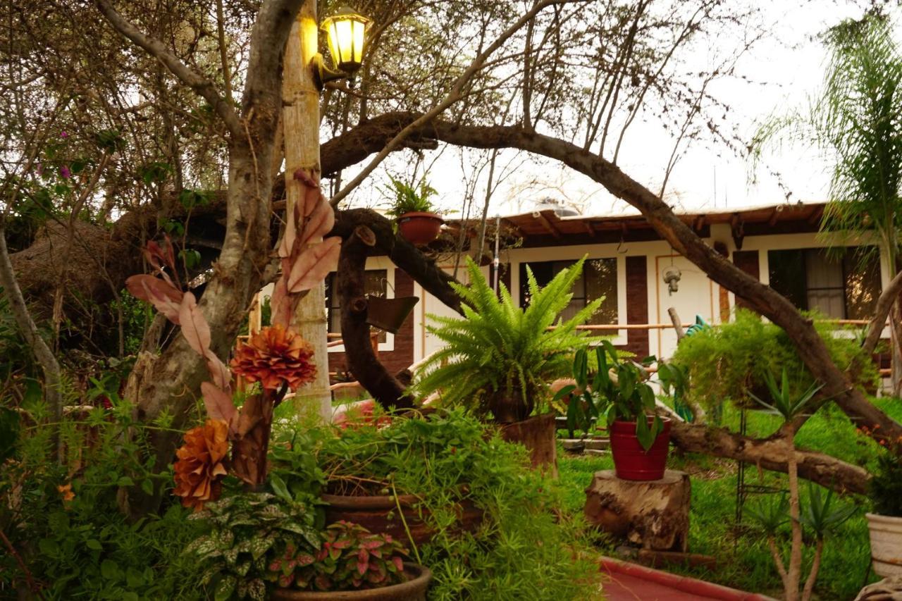Inn Rochabus
