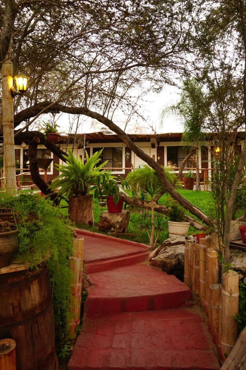 Rochabus Inn Ica